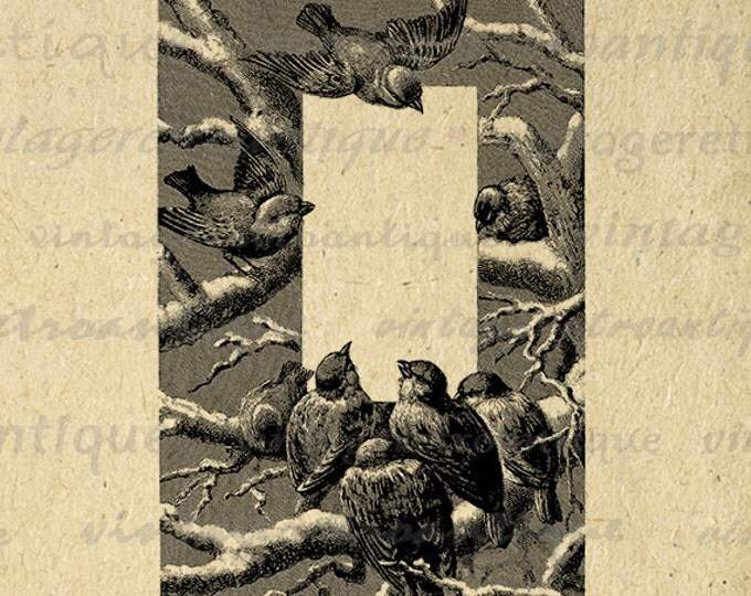 Birds Frame Digital Graphic Printable Bird Border Image Download Antique Clip Art Jpg Png Eps HQ 300dpi No.3294