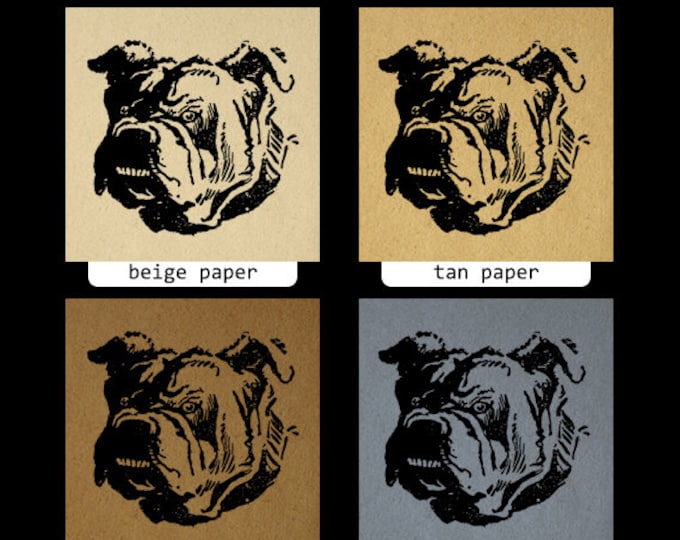 Bull Dog Graphic Printable Digital Bulldog Download Image Vintage Clip Art Jpg Png Eps HQ 300dpi No.060