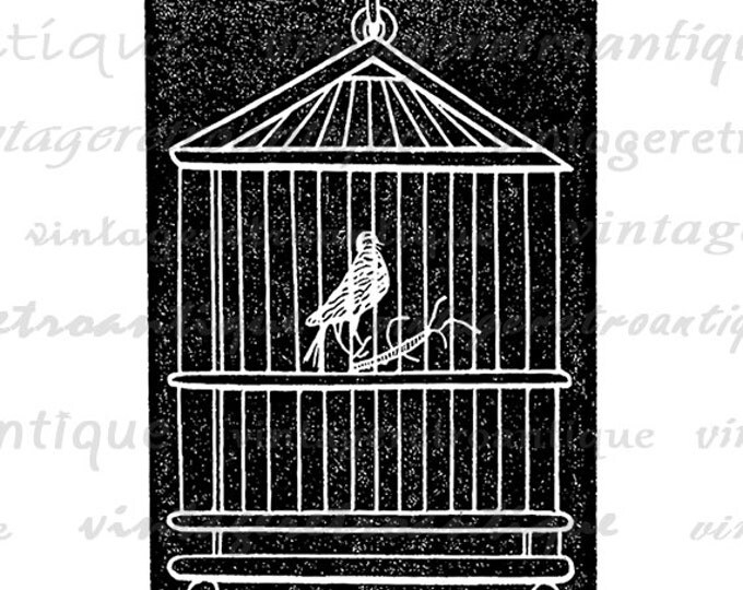 Birdcage with Bird Graphic Printable Digital Image Download Illustration Jpg Png Eps HQ 300dpi No.2745