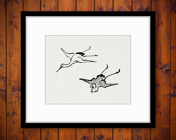 Digital Image Two Birds Download Flying Birds Graphic Illustration Printable Vintage Clip Art Jpg Png Eps HQ 300dpi No.1590