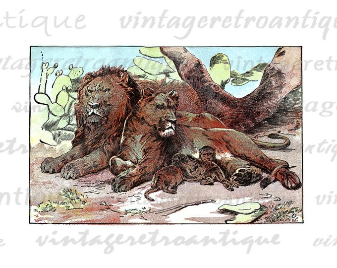 Digital Graphic Antique Lion Family Download Printable Color Artwork Image Vintage Clip Art for Transfers Printing etc HQ 300dpi No.2576