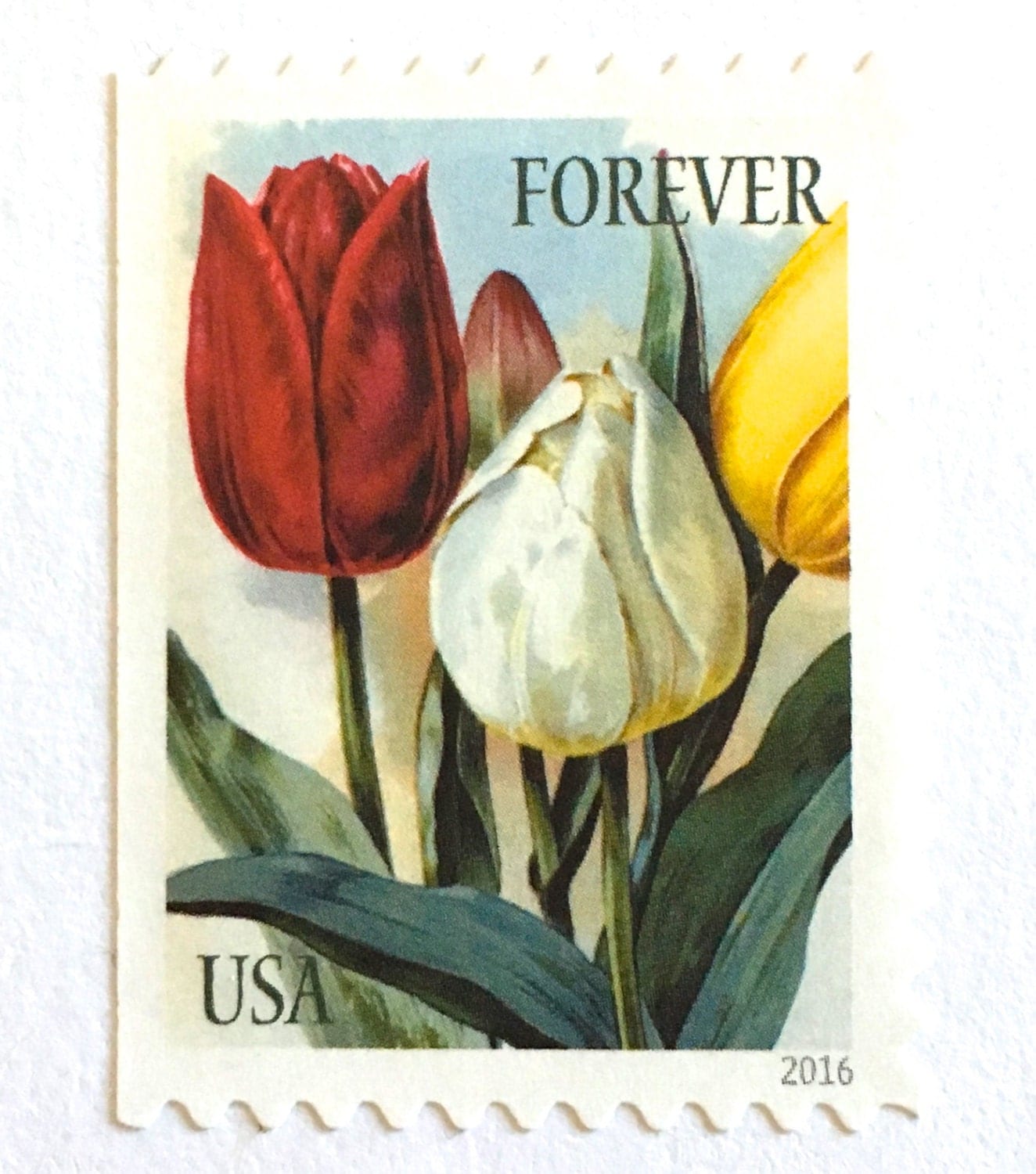10 Forever Tulip Stamps // Unused Vintage Print Tulips Postage