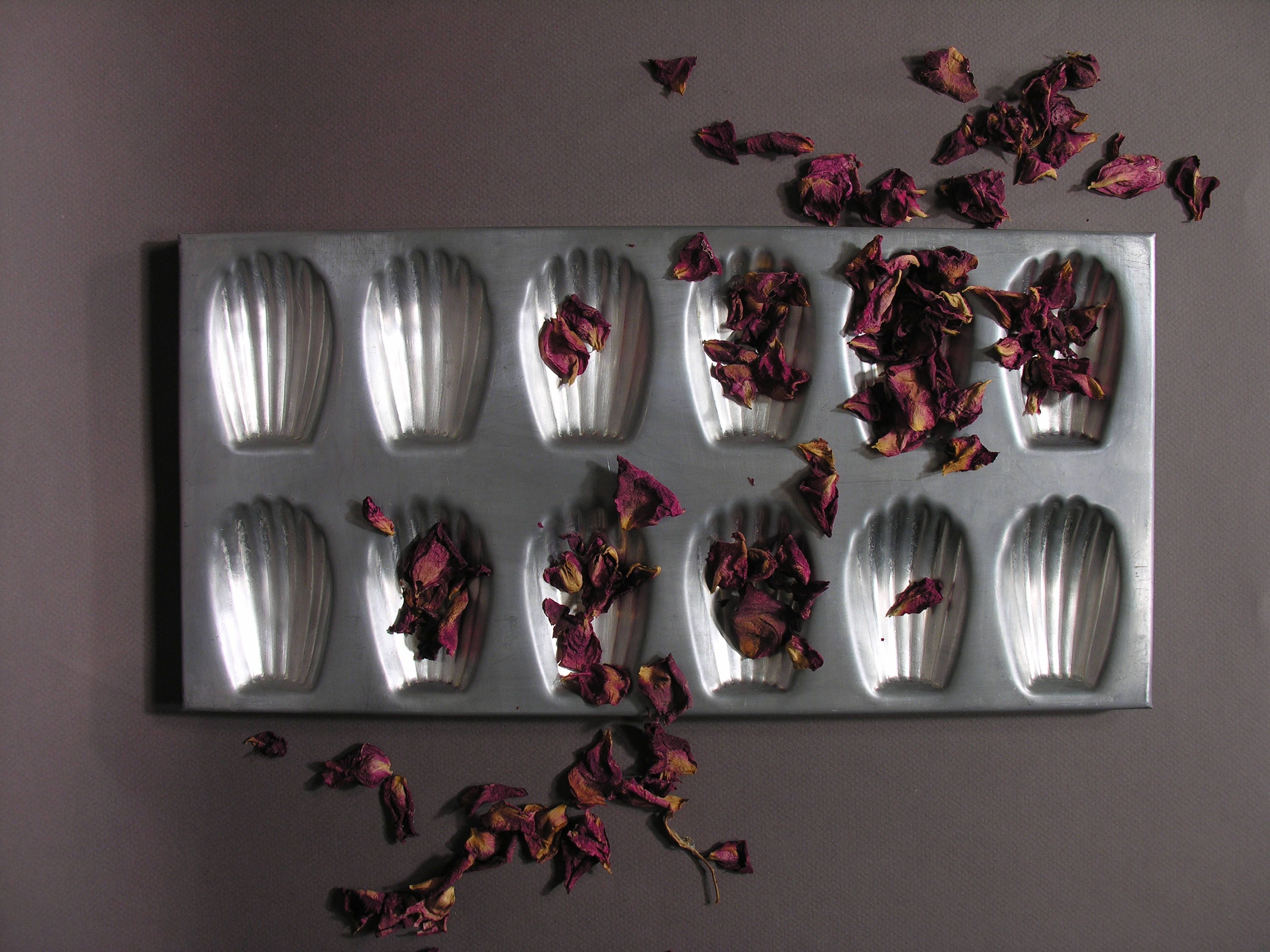 Madeleine Cake Mold Baking Biscuit Tray French Cake Mould