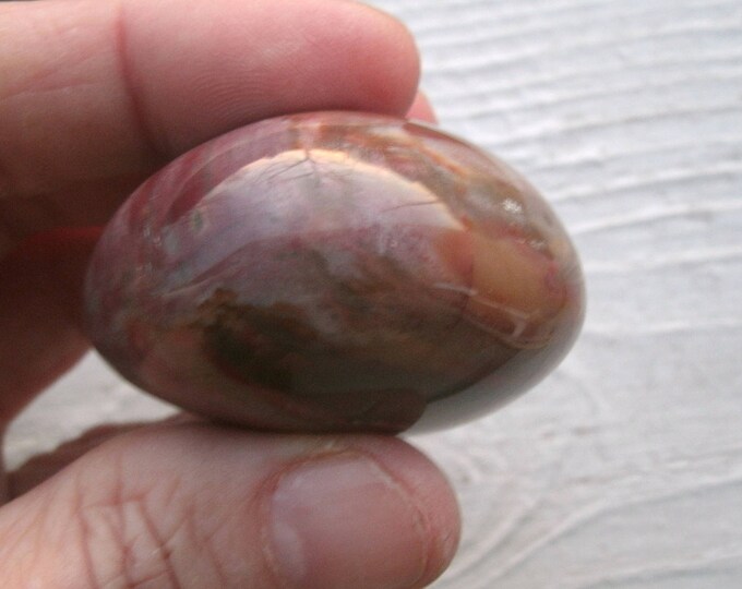 Polished Petrified Wood, fossil agate wood, palm stone, freeform shape, many colors, 2 very different sides, incredibly varied, metaphysical