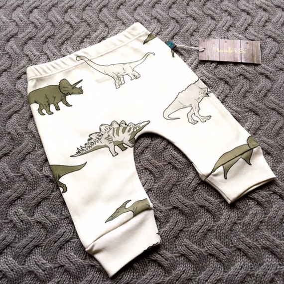 READY TO SHIP Baby clothes dinosaurs baby leggings organic