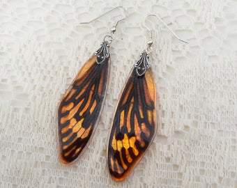 Cicada Earrings - Wing Jewelry - Fairy Wings - Entomology Gift - Resin Jewelry - Insect Earrings - Resin Cicada Wings - Hibiscus Sunset