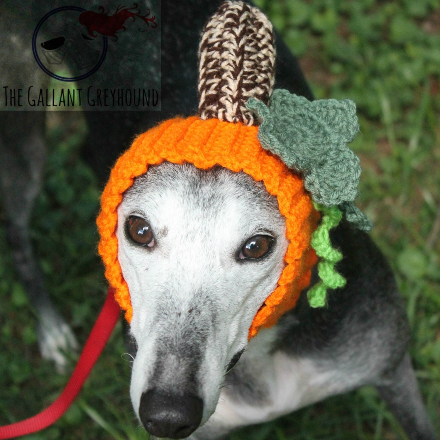Pumpkin Snood for Greyhounds by TheGallantGreyhound on Etsy