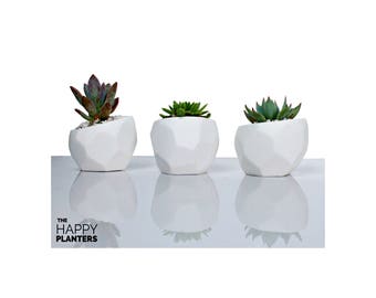 Geometric Planter, Indoor Plant Pot, Cactus Planter, Geometrical Planter, Cactus Planter Gift, Succulent Planter, Airplant Planter
