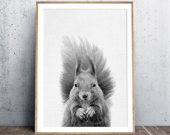 Squirrel Portrait, Nursery Animal Portrait, Squirrel Art, Woodland Print, Woodland Animal Print, Nursery Wall Art, Digital Print, Print