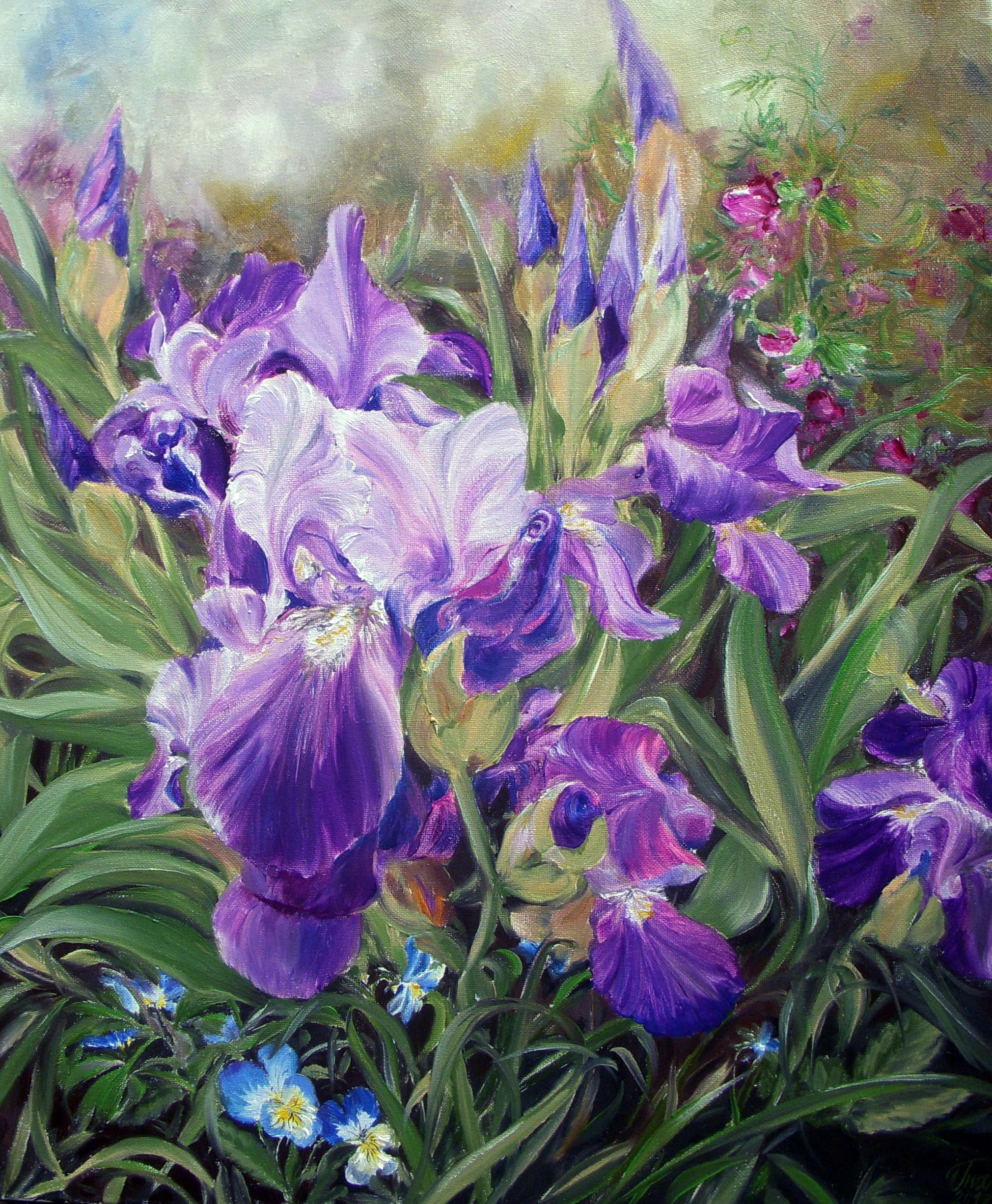 Oil painting Irises