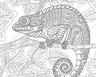 Adult Coloring Page. Horse. Zentangle Doodle Coloring Book