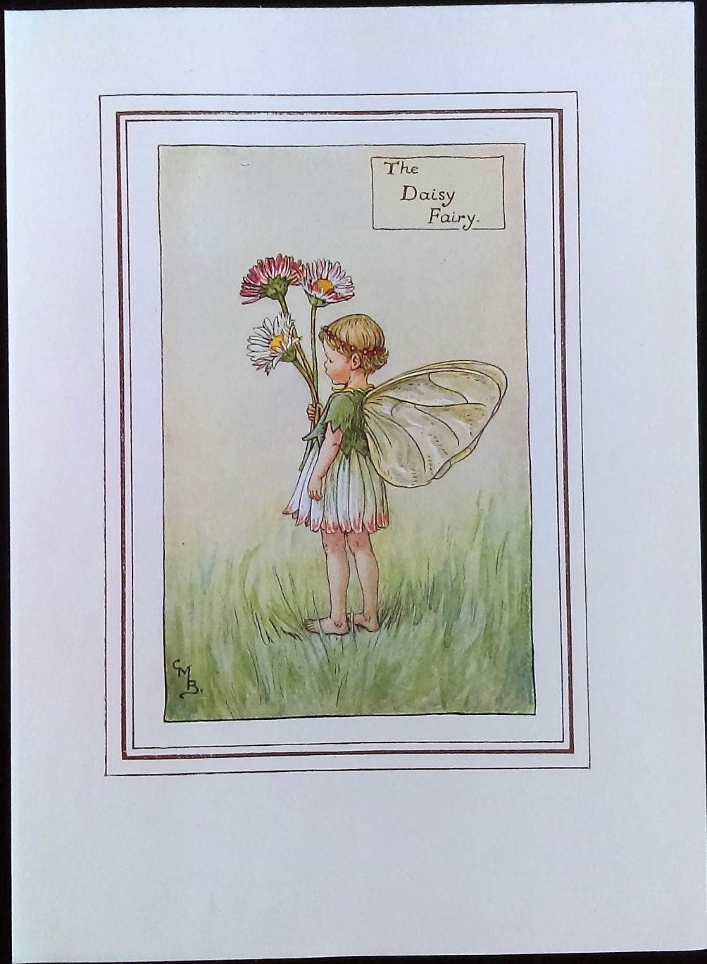 Daisy Flower Fairy Vintage Print c.1927 Cicely Mary Barker
