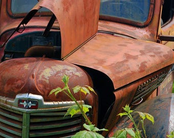 Old Rusty Trucks, Urban Decay, Abandoned