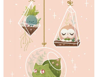 Pokemon Terrarium