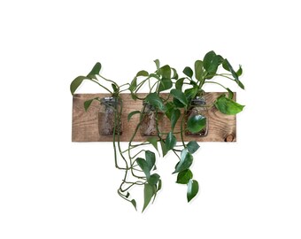 Mason Jar Sconce, Wall Hanging planters, Wood wall planter, rustic wood planter, Wall planter gift, Hanging terrarium, Wood Planter