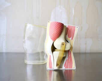 Awesome Vintage Merck & Co Medical Model - Vintage Medical Knee - Knee Model - Promotional Display - Drug Rep Display - Oddities - Medical