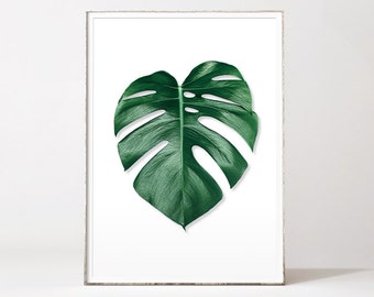 Palm leaf print, botanical prints, tropical prints, monstera leaf, monstera deliciosa, palm leaf art, botanical art, scandinavian wall art