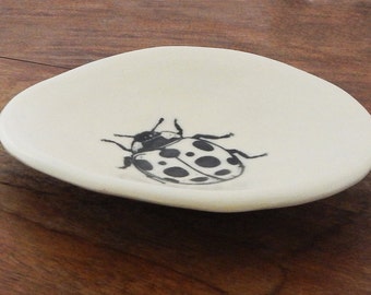 Insect dish | Etsy