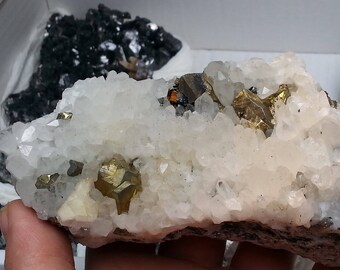 Quartz-Chalcopyrite-Drujba mine-Lucky Bulgaria