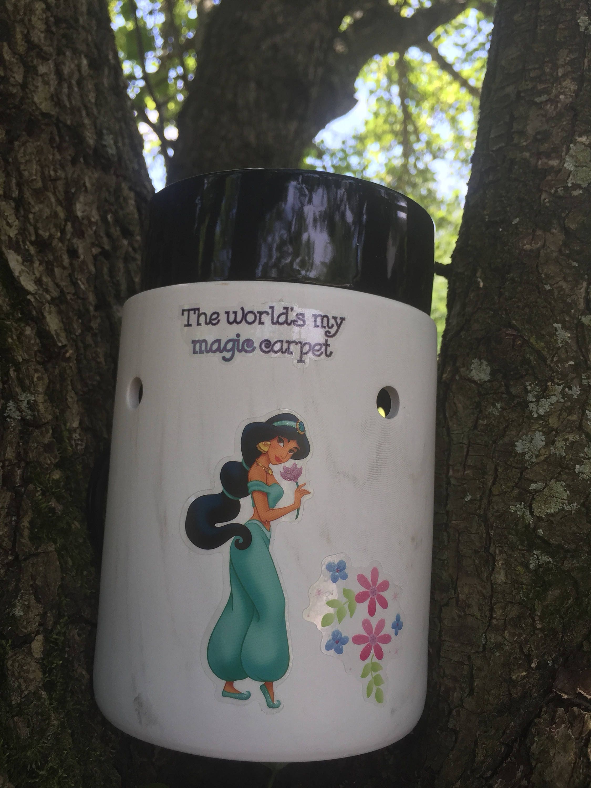 Wax Warmer Electric Tart Warmer Disney Inspired Princess