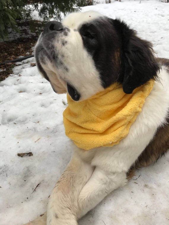 Items similar to Yellow Drool Bib for Extra Large Dog on Etsy