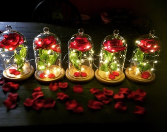 Enchanted rose bell jar beauty and the beast inspired