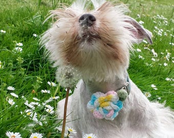 Dog Collar Flower, Cat Collar Rose, Wedding Accessory, Dog Collar Decoration, Collar Attachment, Crocheted Rose,