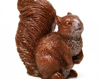 Chocolate Gift "Squirrel"/ Handmade Cift/ Ladies Gift/Mum/Nan/Sister/Animal/Birthday