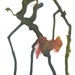 Krusmynta