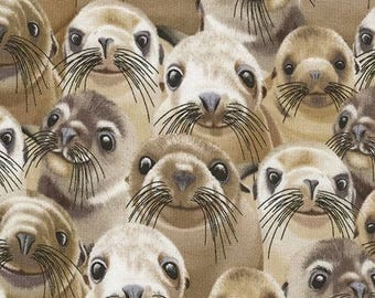 Sea Lion Print Etsy