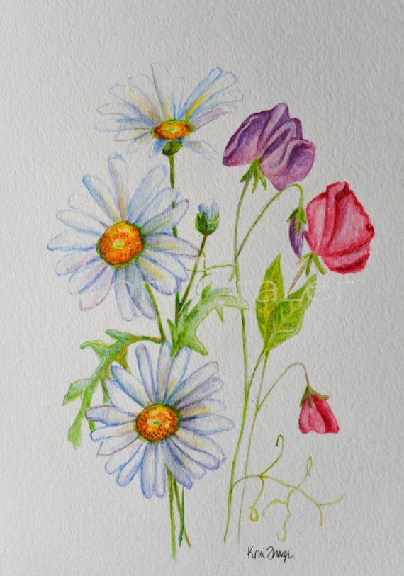 April birthday flower Daisy and Sweet Pea flowers original