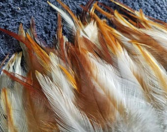 Natural Red Orange Gold Brown Foxy Mix Rooster Saddle Feathers - 50
