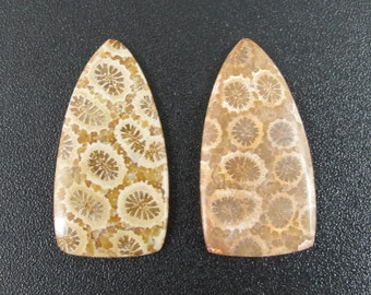 Beautiful Fossil coral cabochon pair, earrings,set stone, Natural stone, , Jewelry making supplies S7462