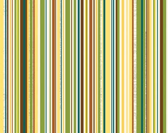 C4015-Multi Trail Mix by Riley Blake Designs 3 yards
