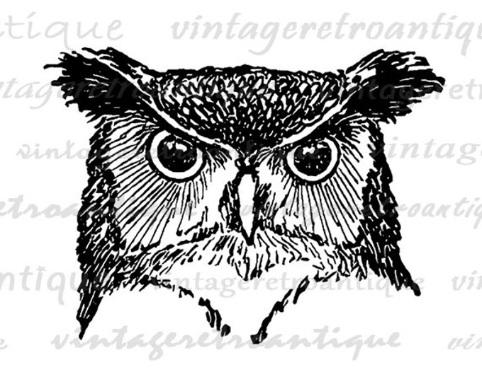 Owl Graphic Printable Digital Bird Head Image Download Vintage Clip Art Jpg Png Eps HQ 300dpi No.547