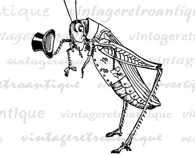 Grasshopper with Top Hat Digital Image Download Collage Sheet Antique Insect Jpg Png Eps HQ No.3733