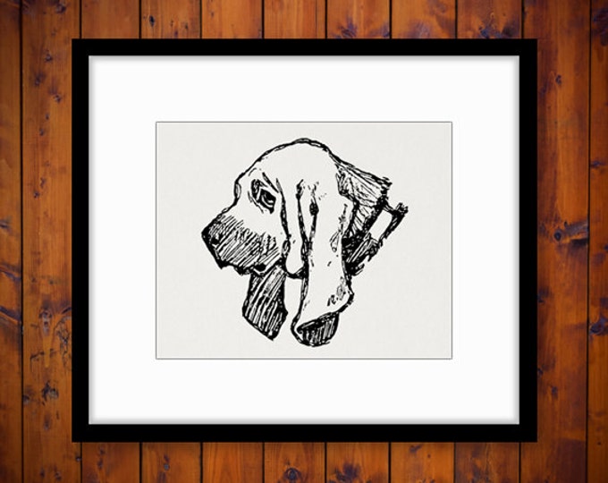 Printable Graphic English Bloodhound Dog Image Illustration Digital Download Vintage Clip Art Jpg Png Eps HQ 300dpi No.3177