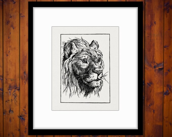 Digital Graphic Antique Lion Printable Cat Image Download Jpg Png Eps HQ 300dpi No.445