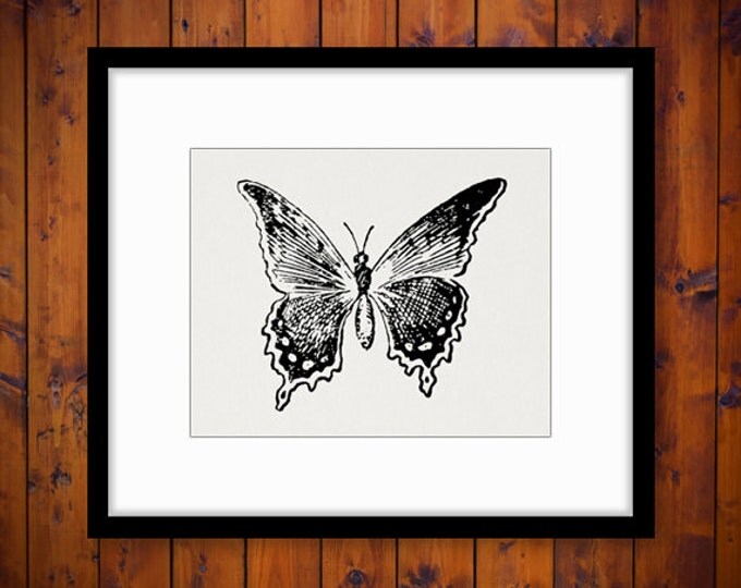 Butterfly Digital Image Download Printable Butterfly Illustration Graphic Vintage Clip Art Jpg Png Eps HQ 300dpi No.2468