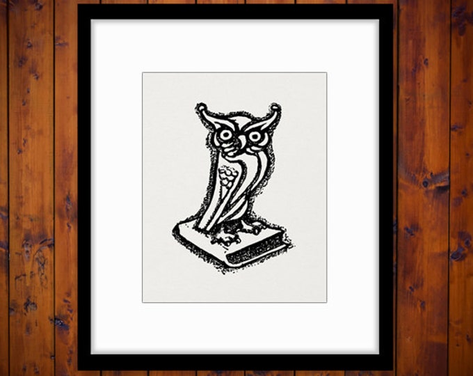 Owl on Book Digital Printable Download Illustration Image Graphic Vintage Clip Art Jpg Png Eps HQ 300dpi No.1557