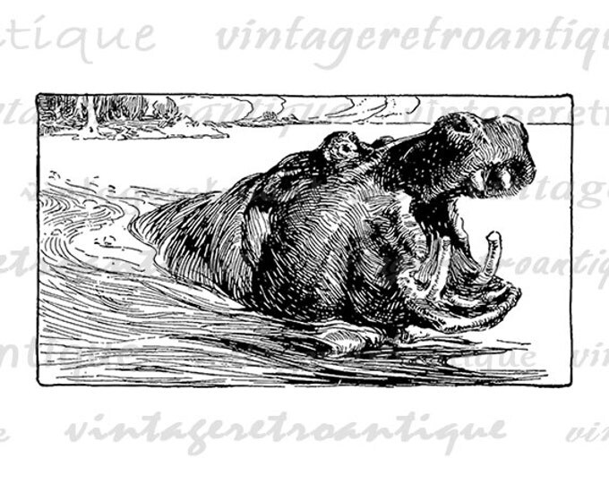 Digital Image Antique Hippo Printable Hippopotamus Graphic Download Vintage Clip Art Jpg Png Eps HQ 300dpi No.3026