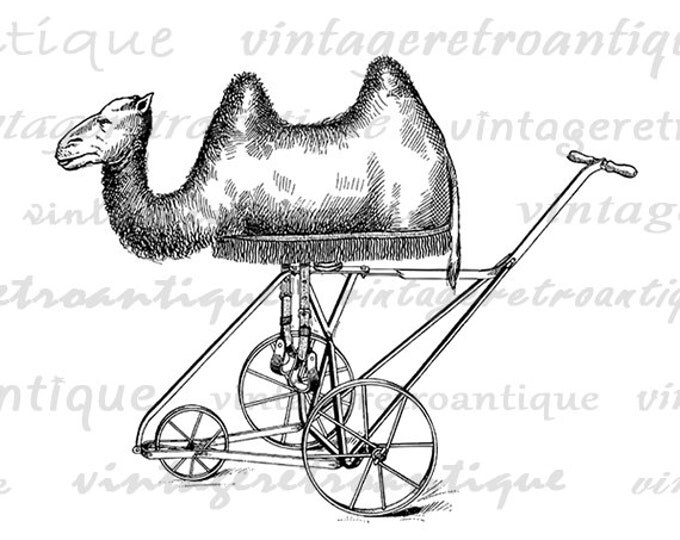 Antique Toy Camel Ride for Children Graphic Printable Digital Download Image Vintage Clip Art Jpg Png Eps HQ 300dpi No.1875