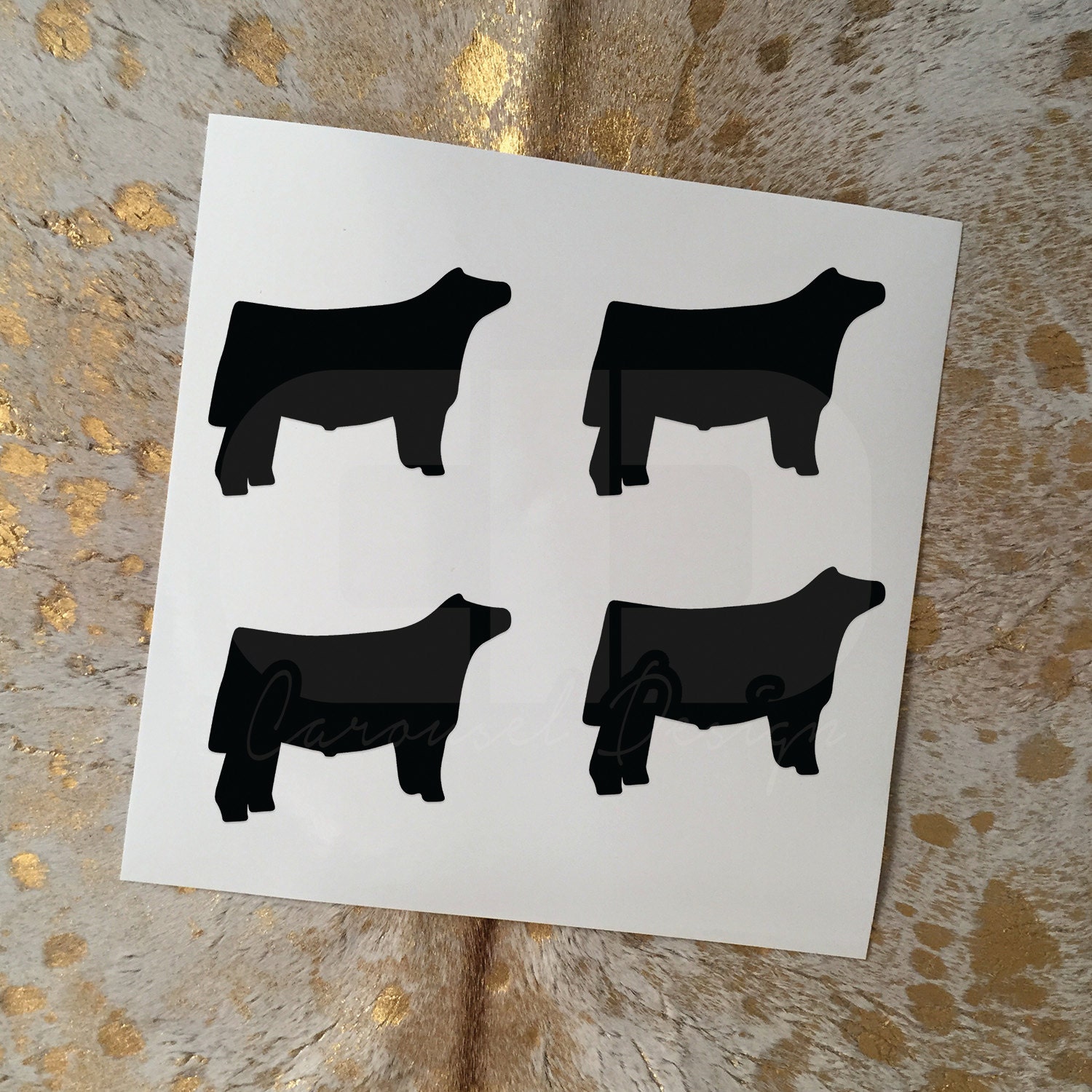 Show Steer Vinyl Stickers Set of 4