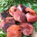 Raw CARNELIAN Crystals | Rough Chunks for Crystal Healing, Yoga Reiki, Second Chakra, Spiritual, Wicca, Shaman Orange Red Gemstones