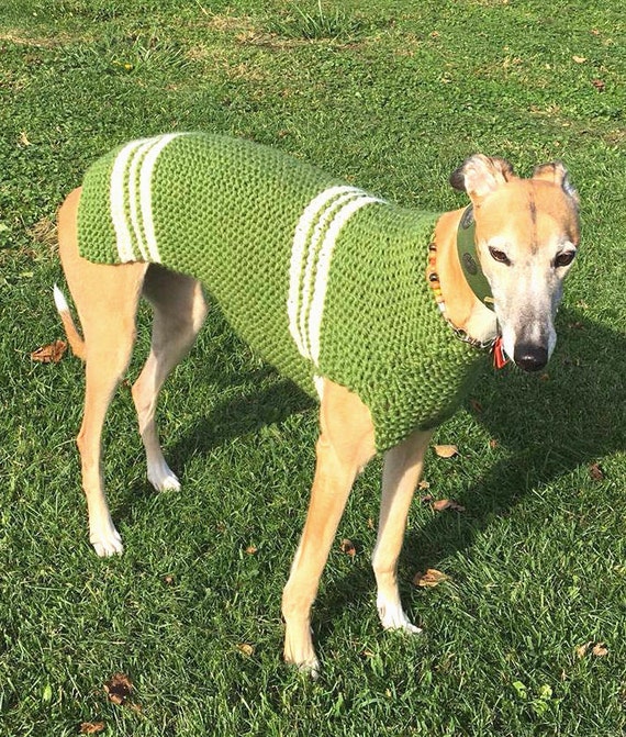 Dog sweater dog coat dog jumper greyhound sweater whippet