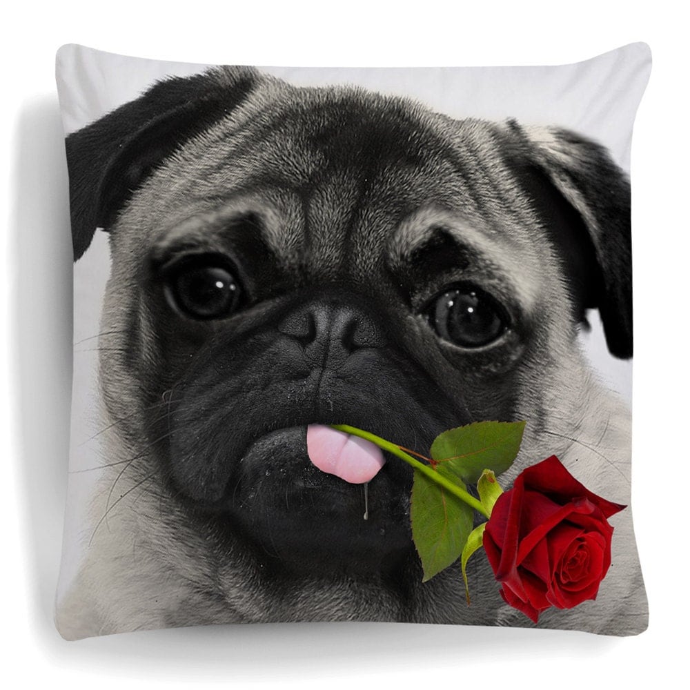 pug cushion