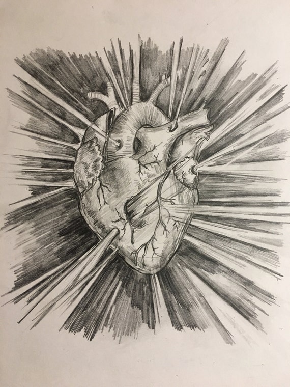 items-similar-to-anatomical-heart-drawing-exploding-heart-8-x10