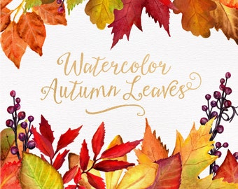 Watercolor Autumn Leaves & Branches Clipart - Watercolor Clipart, Fall Clipart, Fall Leaves, Autumn Clipart, Thanksgiving Clipart