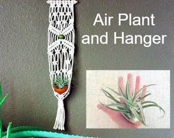 Plant and Macrame hanger, Macrame Air Plant hanger, Gift for Mom, Air Plant hanger, Airplant, Tillandsia holder, gift for her, Mother's Day