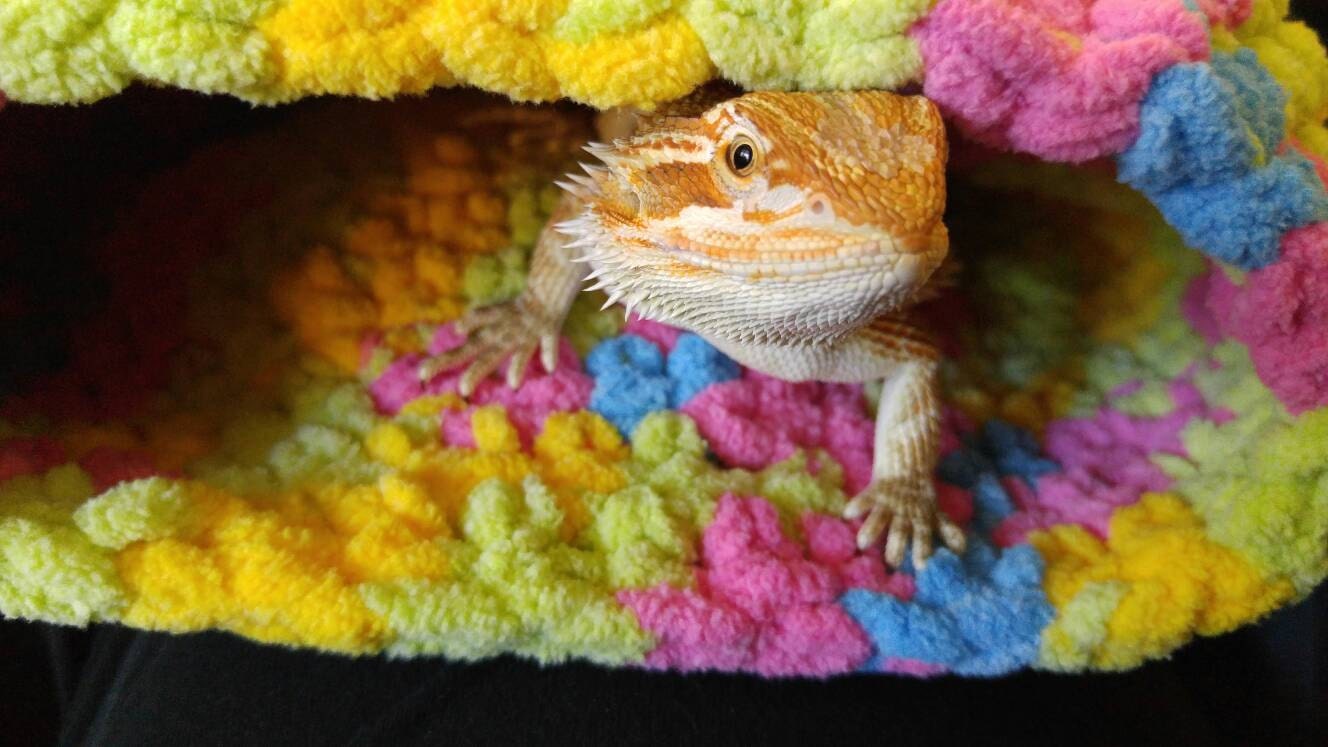Bearded dragon collapsible sleep sack